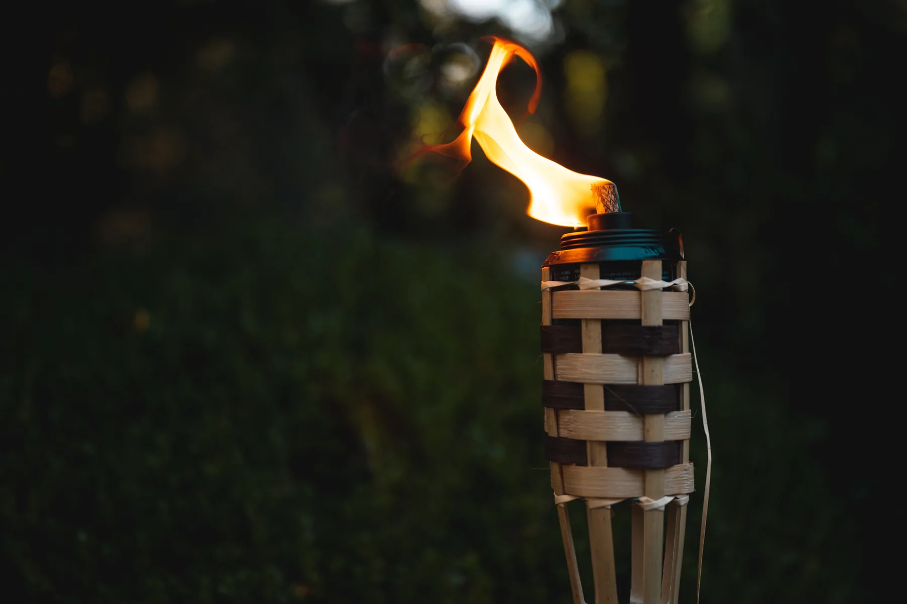 A bamboo tiki torch with a tall flame burning at dusk against dark foliage